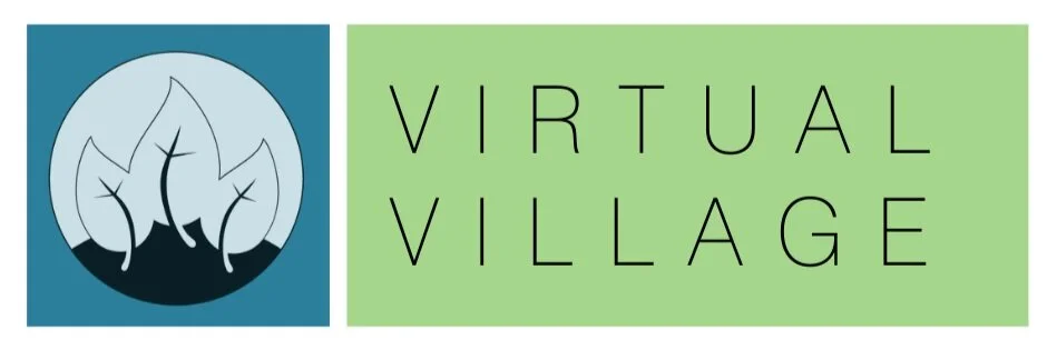 Virtual Village